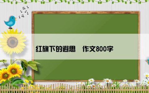 红旗下的遐思​作文800字