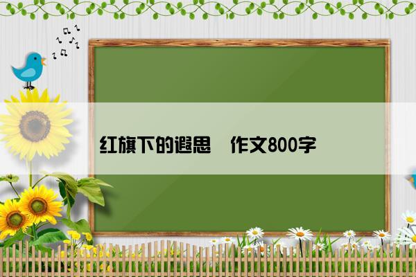 红旗下的遐思​作文800字