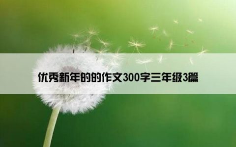 优秀新年的的作文300字三年级3篇