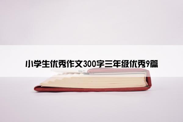 小学生优秀作文300字三年级优秀9篇