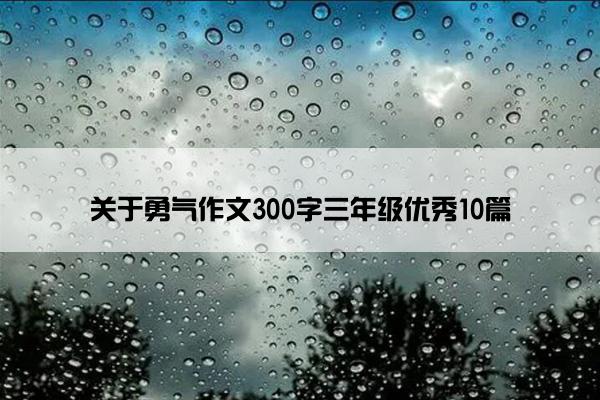 关于勇气作文300字三年级优秀10篇