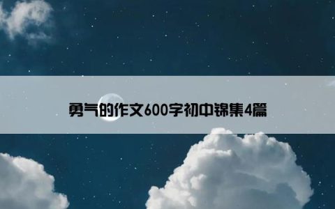勇气的作文600字初中锦集4篇
