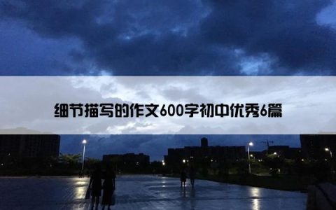 细节描写的作文600字初中优秀6篇