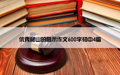 优秀爬山的启示作文600字初中4篇