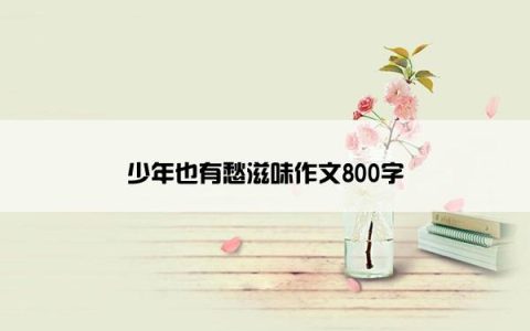 少年也有愁滋味作文800字