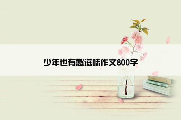 少年也有愁滋味作文800字