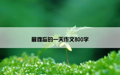 最难忘的一天作文800字