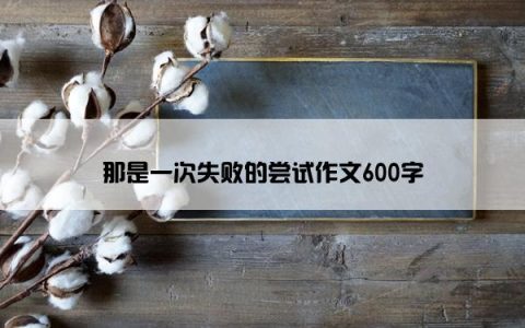 那是一次失败的尝试作文600字