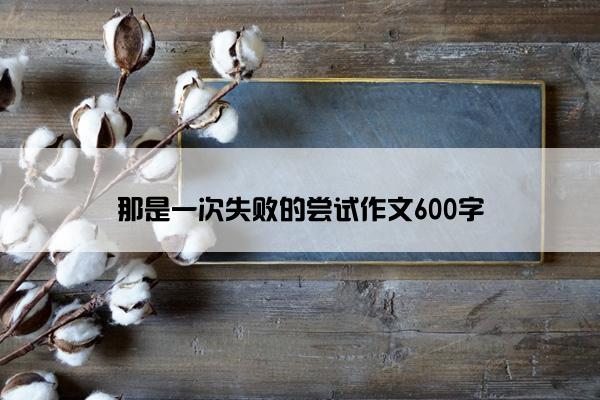 那是一次失败的尝试作文600字