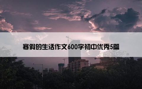 寒假的生活作文600字初中优秀5篇