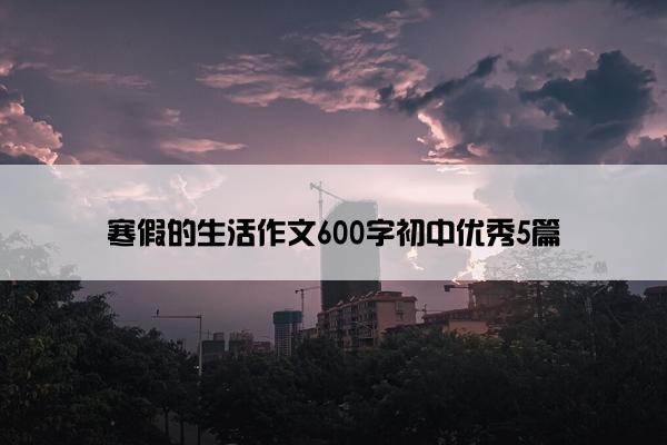 寒假的生活作文600字初中优秀5篇