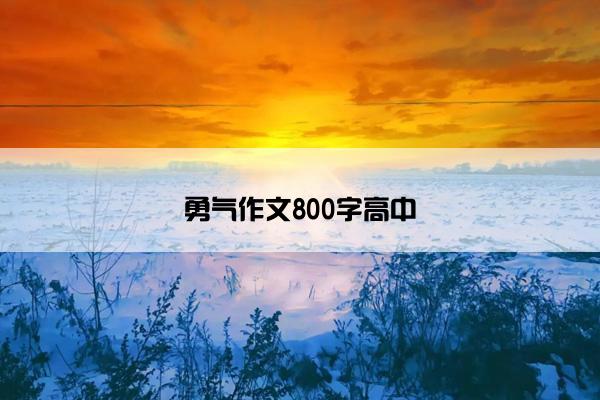 勇气作文800字高中