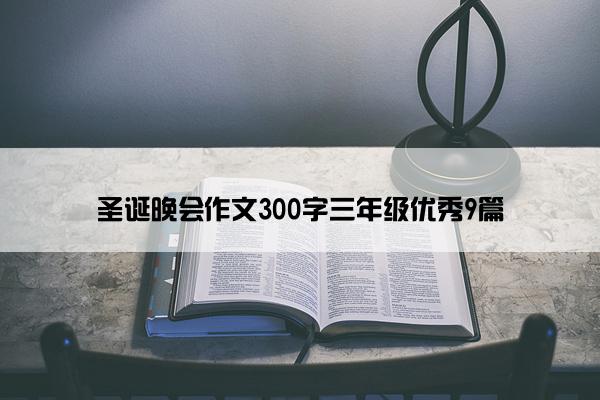 圣诞晚会作文300字三年级优秀9篇