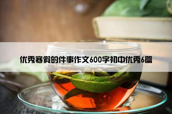 优秀寒假的件事作文600字初中优秀6篇