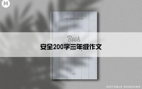 安全200字三年级作文