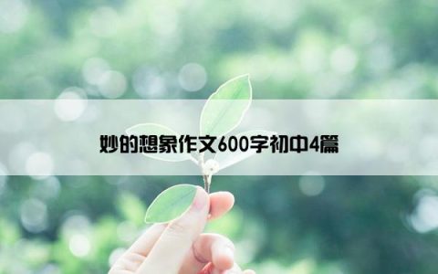 妙的想象作文600字初中4篇