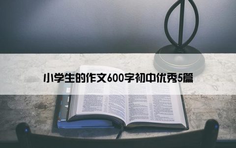 小学生的作文600字初中优秀5篇