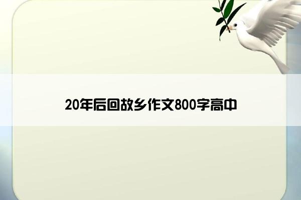 20年后回故乡作文800字高中