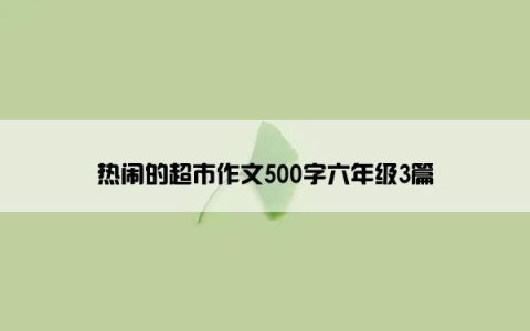 热闹的超市作文500字六年级3篇