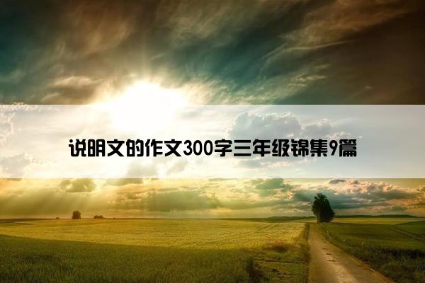 说明文的作文300字三年级锦集9篇