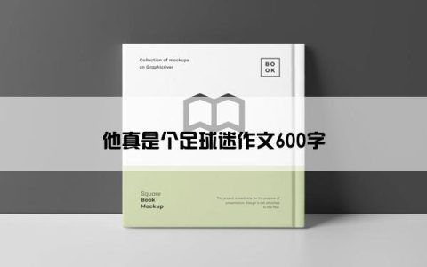 他真是个足球迷作文600字