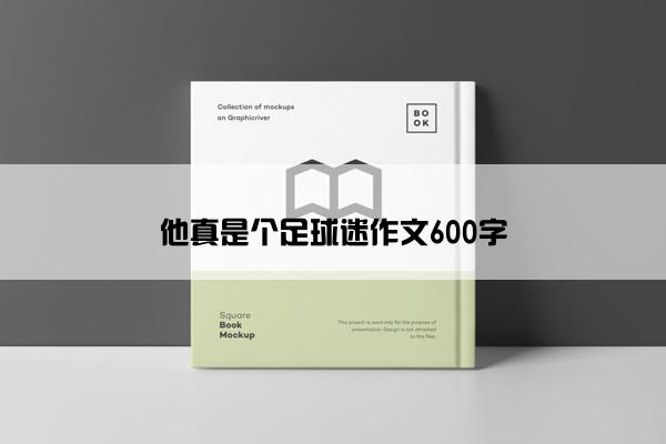 他真是个足球迷作文600字