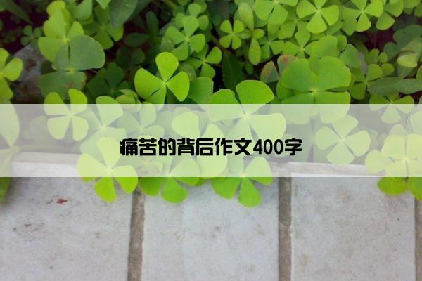 痛苦的背后作文400字