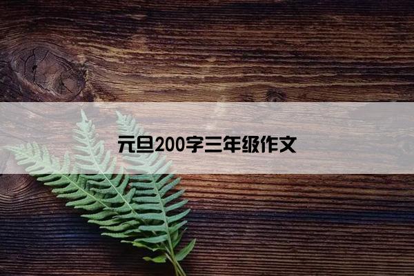 元旦200字三年级作文