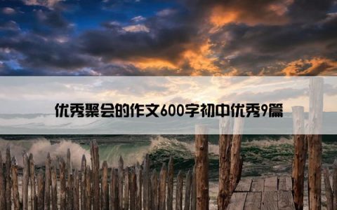 优秀聚会的作文600字初中优秀9篇
