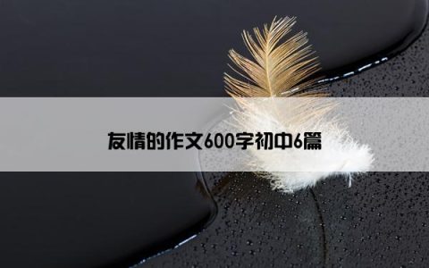 友情的作文600字初中6篇