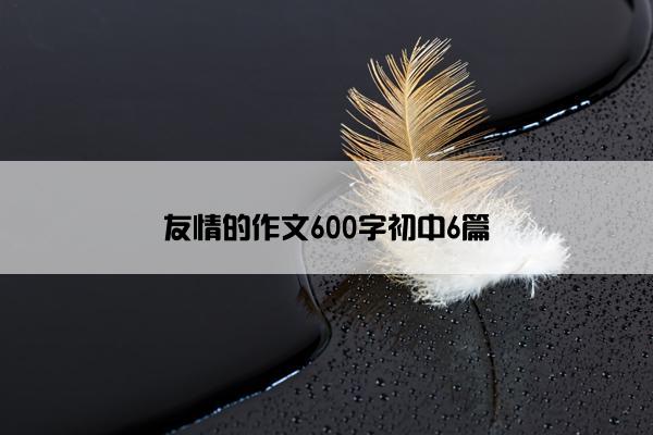 友情的作文600字初中6篇