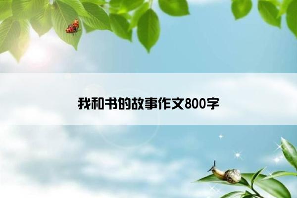 我和书的故事作文800字