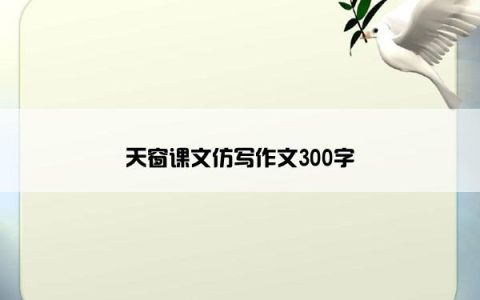 天窗课文仿写作文300字