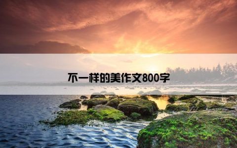 不一样的美作文800字