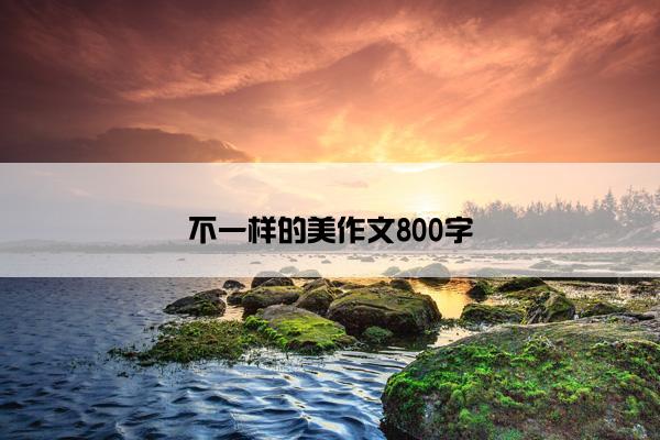 不一样的美作文800字