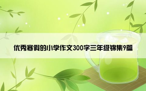 优秀寒假的小学作文300字三年级锦集9篇
