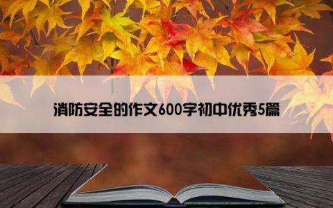 消防安全的作文600字初中优秀5篇
