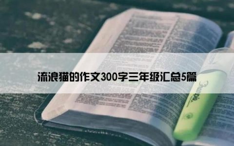 流浪猫的作文300字三年级汇总5篇