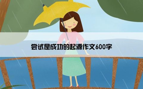 尝试是成功的起源作文600字