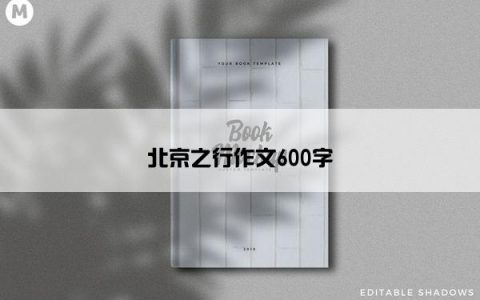 北京之行作文600字