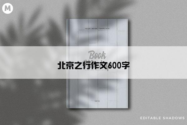 北京之行作文600字