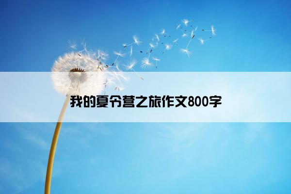 我的夏令营之旅作文800字