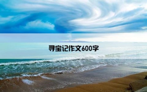 寻宝记作文600字