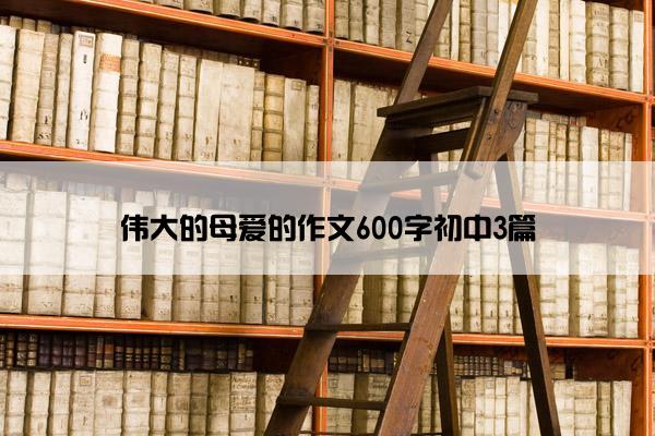 伟大的母爱的作文600字初中3篇