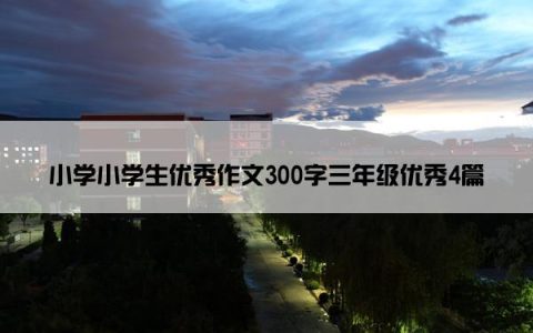 小学小学生优秀作文300字三年级优秀4篇