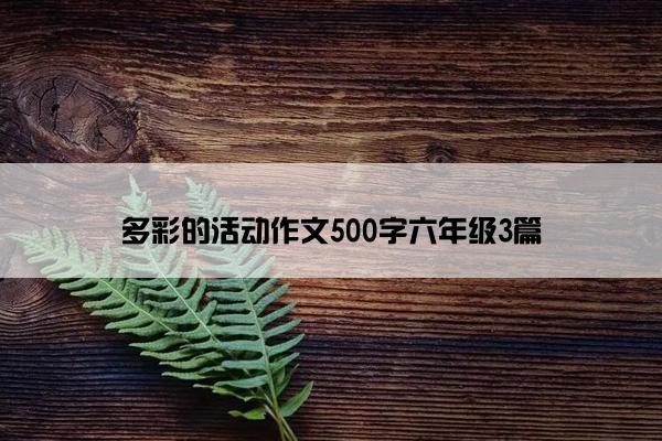 多彩的活动作文500字六年级3篇