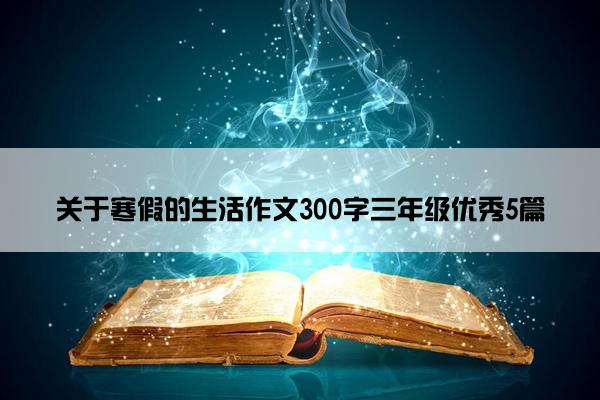 关于寒假的生活作文300字三年级优秀5篇