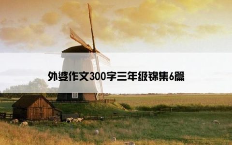 外婆作文300字三年级锦集6篇
