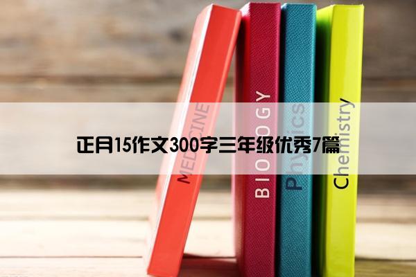 正月15作文300字三年级优秀7篇