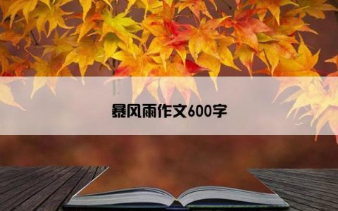 暴风雨作文600字